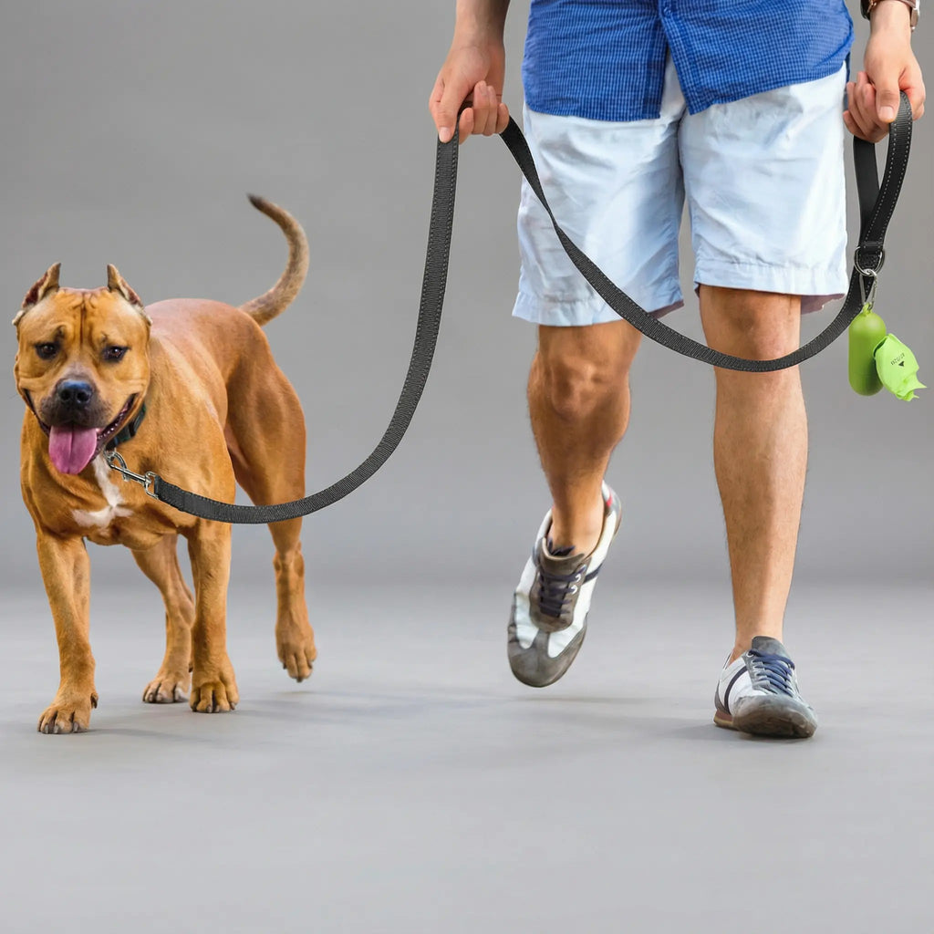 Correa reflectante: paseos más seguros de noche y control total